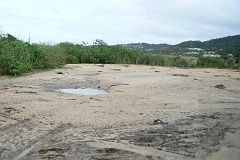 0694-Reis Zuid-Afrika2007